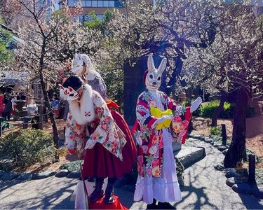 湯島天満宮（湯島天神） 5枚目