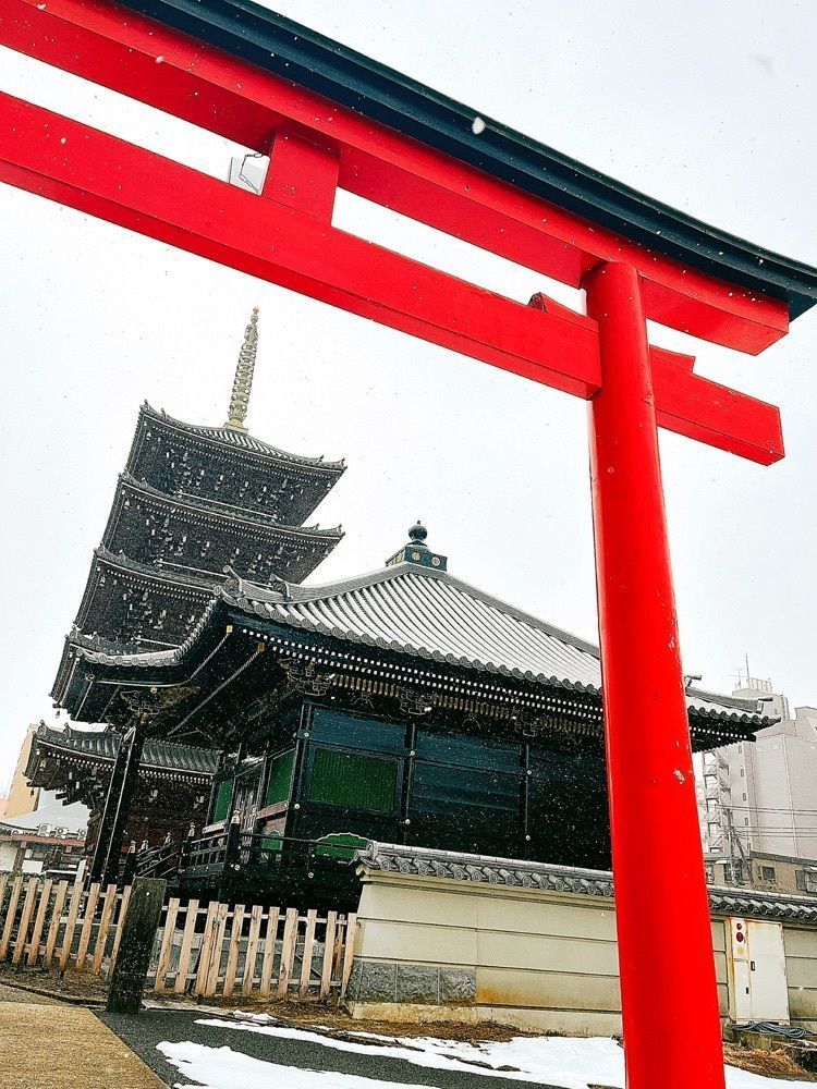 猫なぎ。さんが投稿した孝勝寺に関する口コミの画像