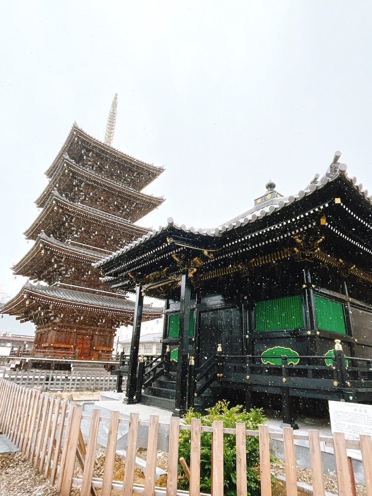 猫なぎ。さんが投稿した孝勝寺に関する口コミの画像