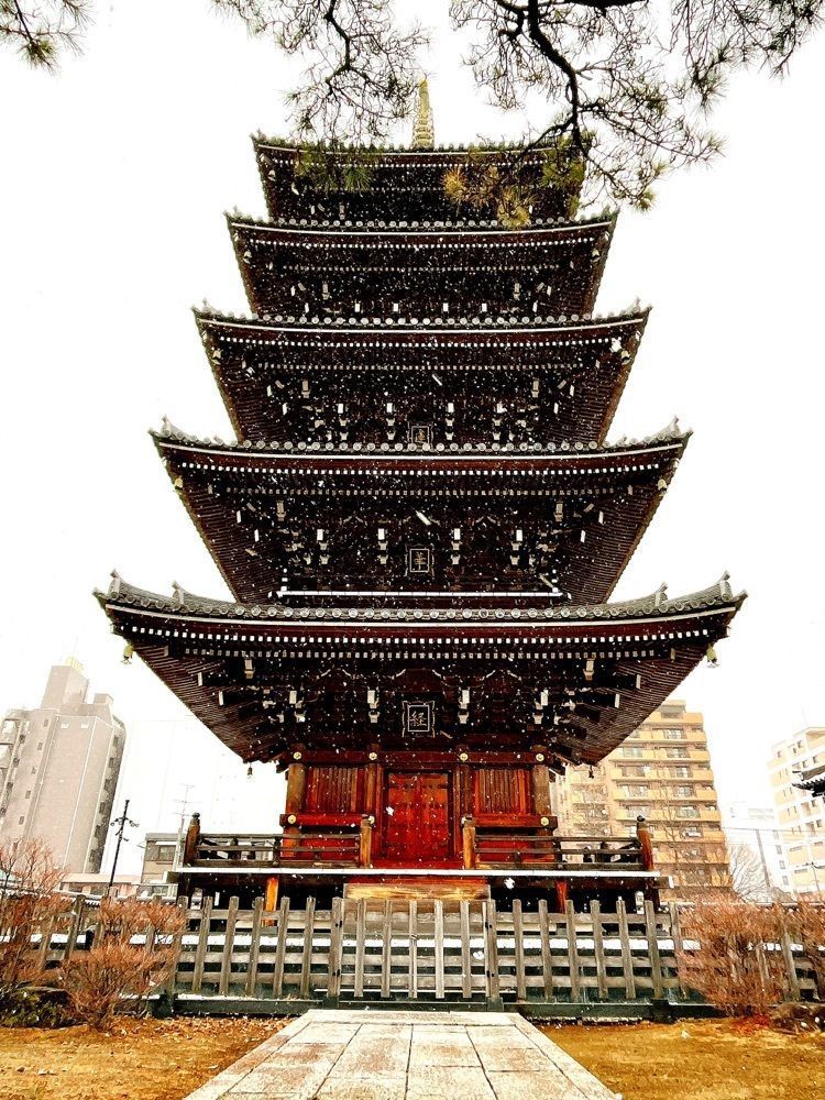 猫なぎ。さんが投稿した孝勝寺に関する口コミの画像