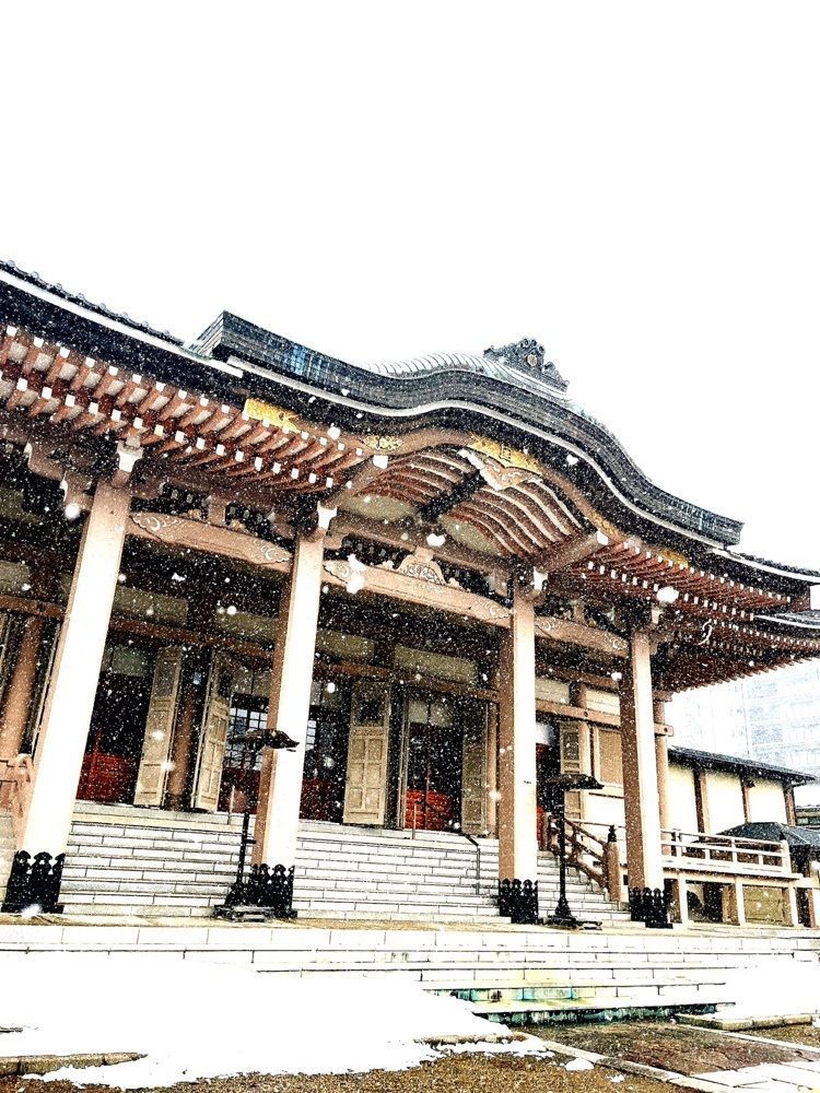 猫なぎ。さんが投稿した孝勝寺に関する口コミの画像