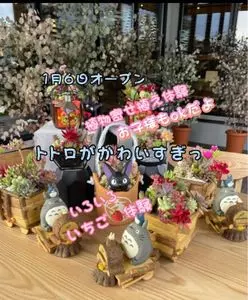 はなのかファーム