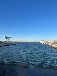 シーバス