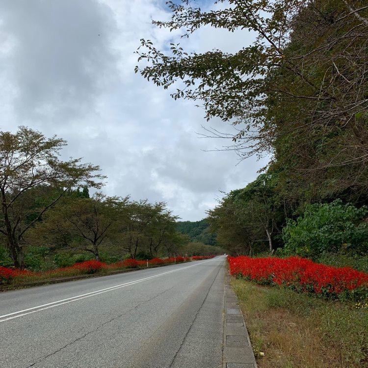yokomanさんが投稿した能登町に関する口コミの画像