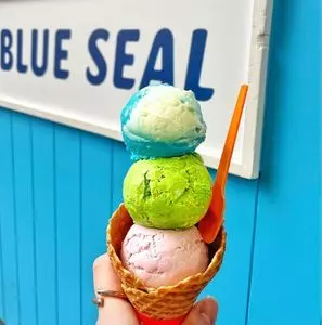 ブルーシール 京都新京極店（BLUE SEAL）