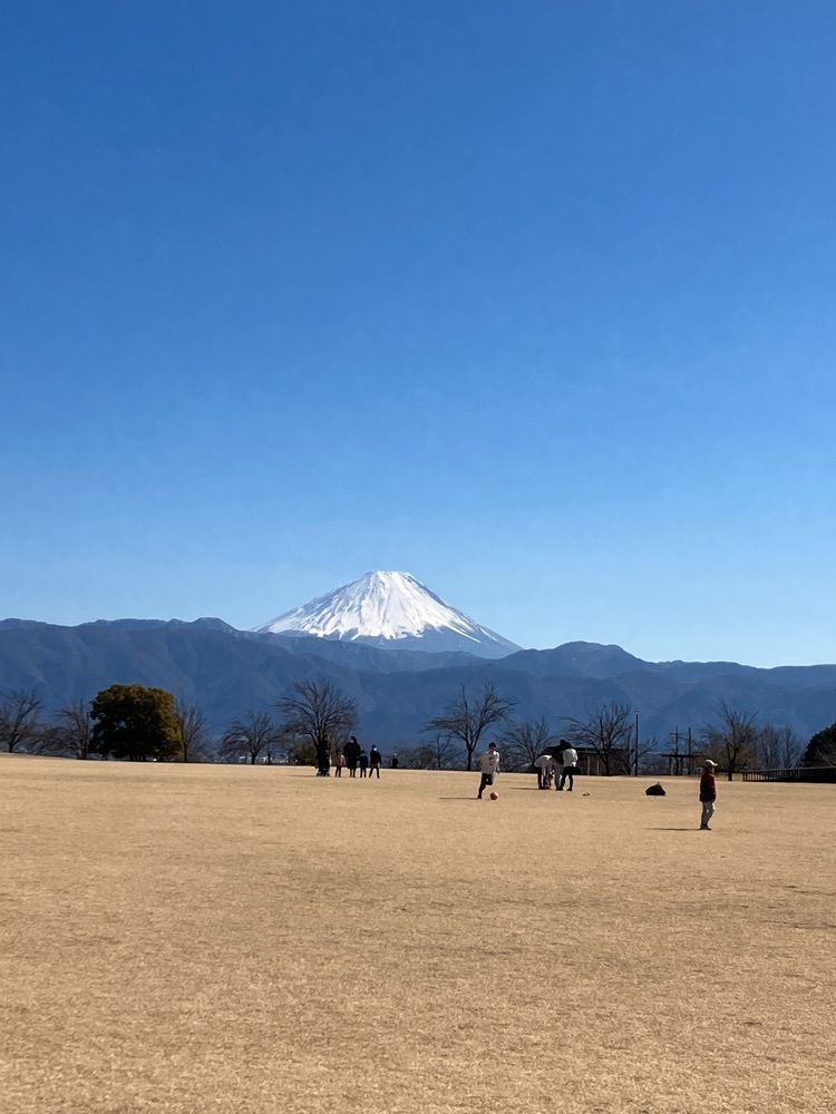 Nさんが投稿した赤坂台総合公園に関する口コミの画像
