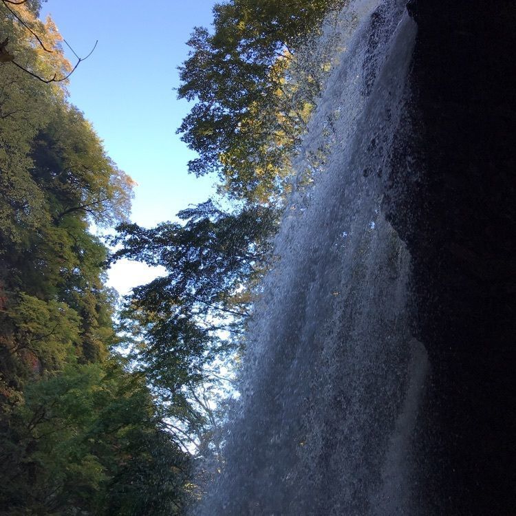 eririnさんが投稿した雷滝に関する口コミの画像