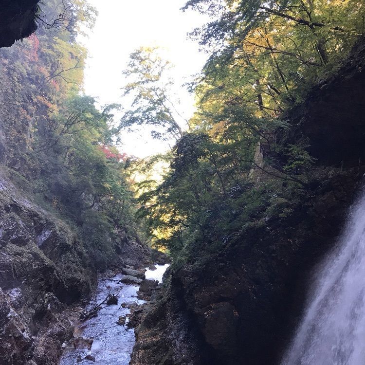 eririnさんが投稿した雷滝に関する口コミの画像