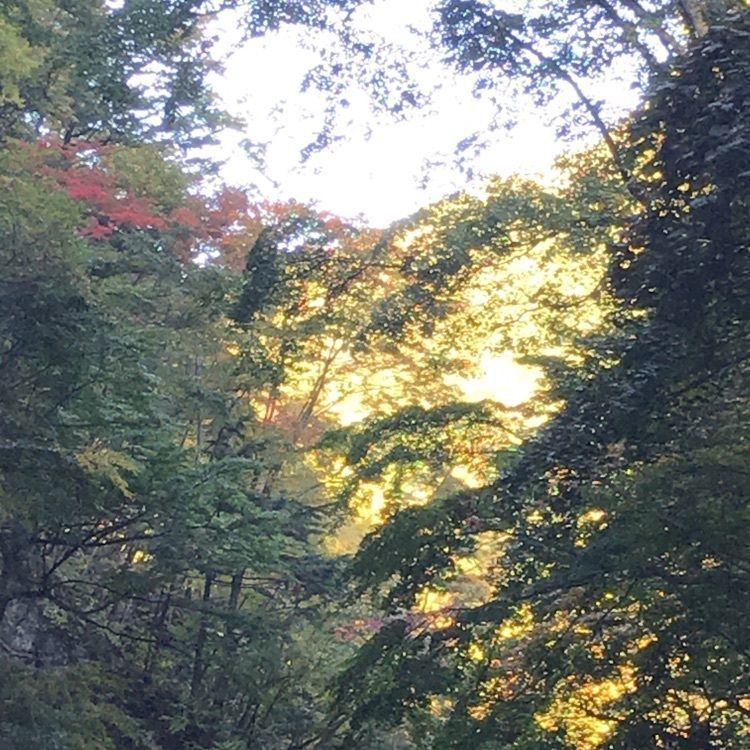 eririnさんが投稿した雷滝に関する口コミの画像