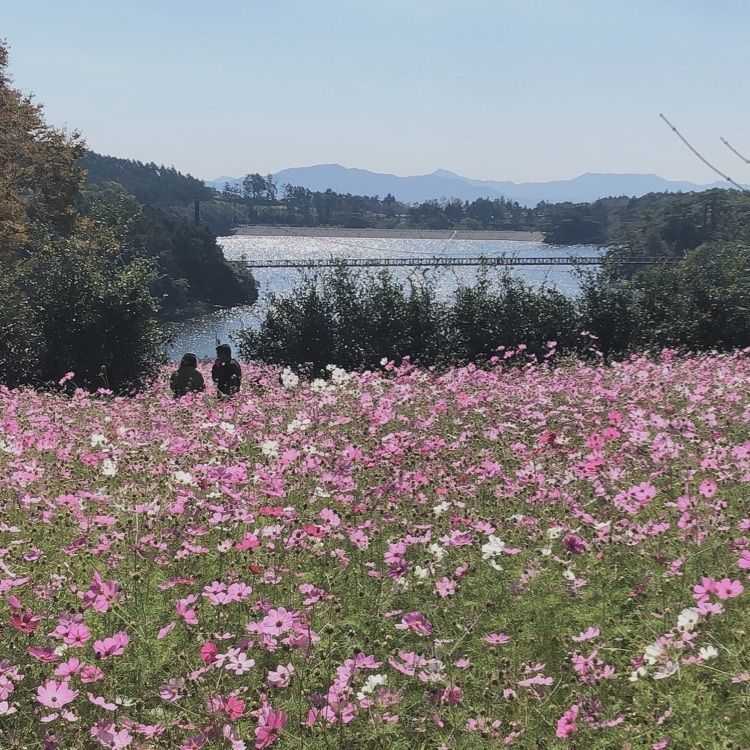 ponponaoさんが投稿した大又農園 野の実に関する口コミの画像