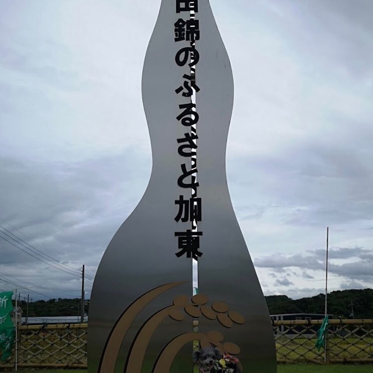 ＤＪゴン太さんが投稿した道の駅 とうじょうに関する口コミの画像