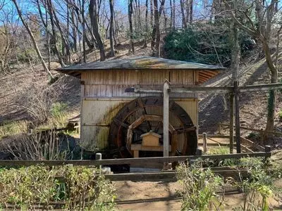 町田薬師池公園 四季彩の杜 薬師池（薬師池公園）