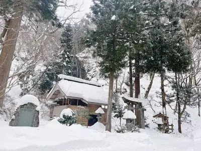 産直どんでん畑