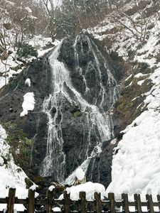 産直どんでん畑 3枚目