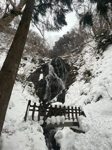 産直どんでん畑 4枚目