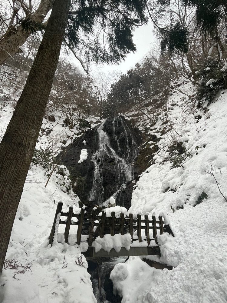 猫なぎ。さんが投稿した産直どんでん畑に関する口コミの画像