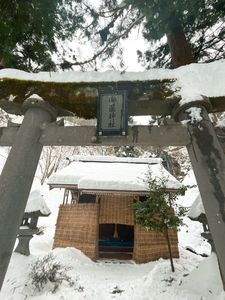 産直どんでん畑 6枚目