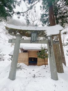 産直どんでん畑 7枚目