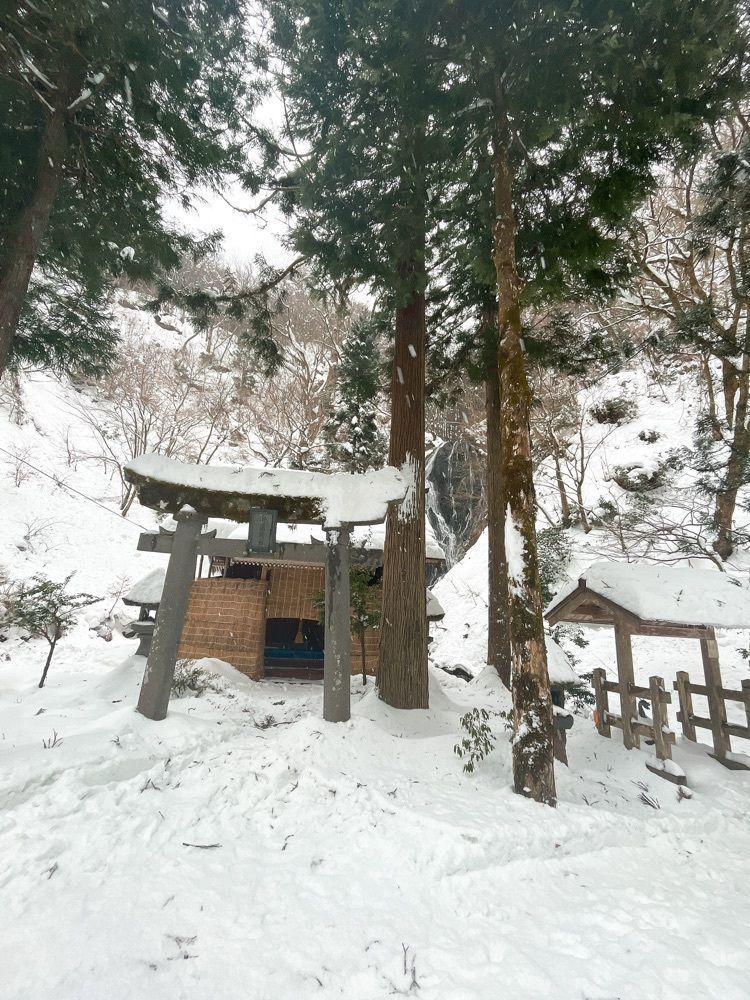 猫なぎ。さんが投稿した産直どんでん畑に関する口コミの画像