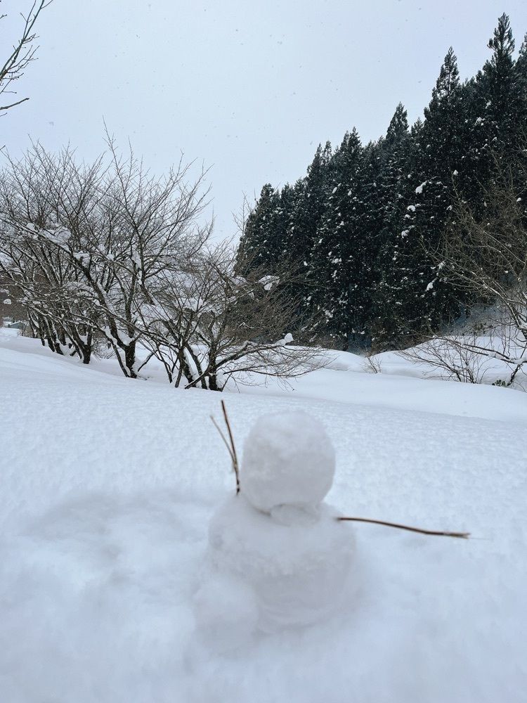 猫なぎ。さんが投稿した玉簾の滝に関する口コミの画像