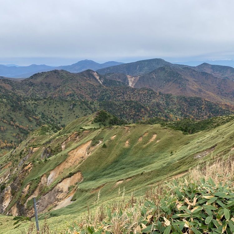 うるふさんが投稿した横手山山頂展望台に関する口コミの画像