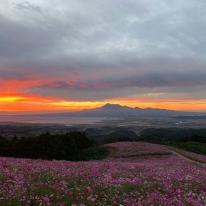 白木峰高原 4枚目