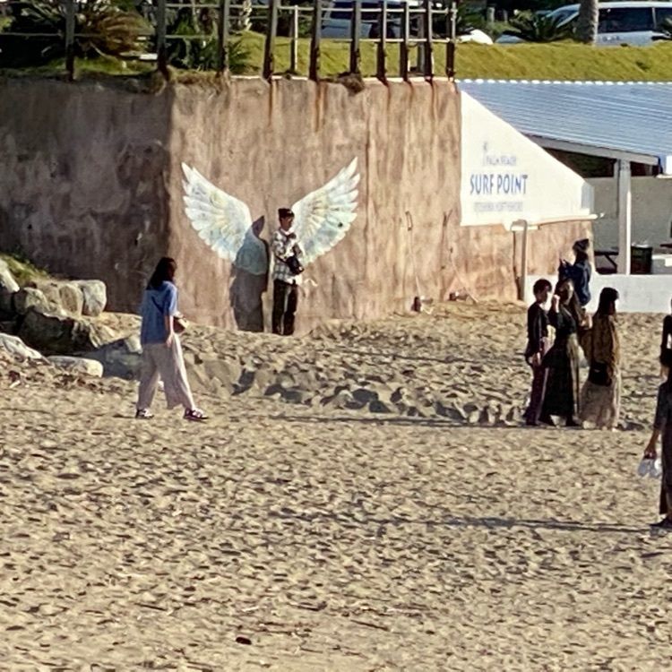 surumeさんが投稿した波平に関する口コミの画像