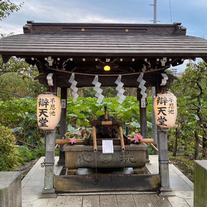 yoko_tokyoiventlifeさんが投稿した佐渡島へ渡れ 上野店に関する口コミの画像