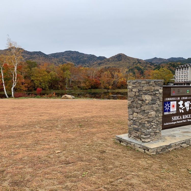 うるふさんが投稿した丸池・蓮池温泉に関する口コミの画像