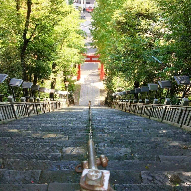 Canacameraの画像