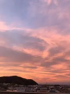レストランマイルド