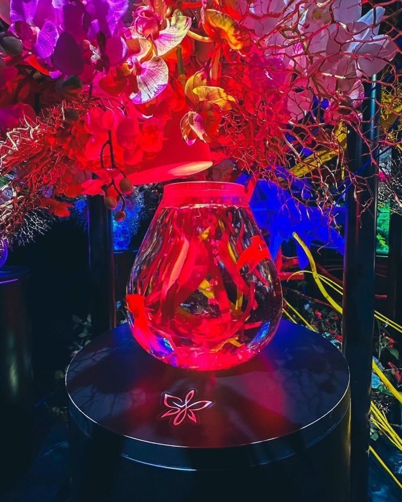 おでかけ探検部さんが投稿したアートアクアリウム美術館 GINZAに関する口コミの画像