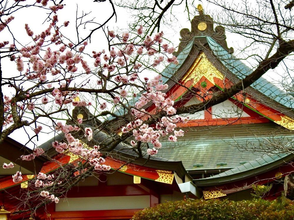 junkunさんが投稿した東伏見稲荷神社に関する口コミの画像