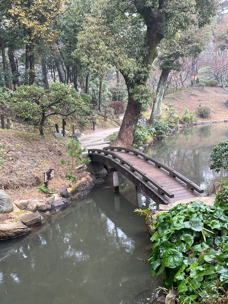 みーなさんが投稿した縮景園のウメに関する口コミの画像