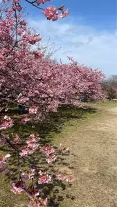 前松堂（ゼンショウドウ）
