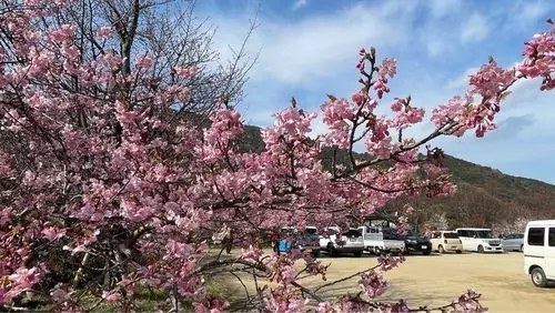 前松堂（ゼンショウドウ）