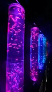 銀座三越