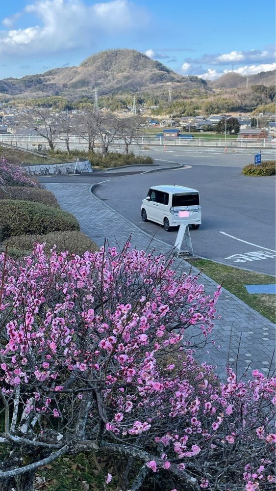 みぃさんが投稿した道の駅 みろくに関する口コミの画像