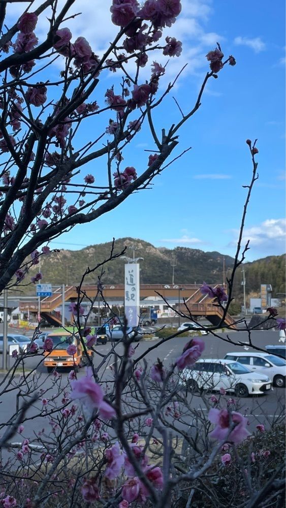 みぃさんが投稿した道の駅 みろくに関する口コミの画像