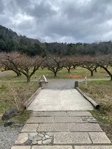 梅窓庵