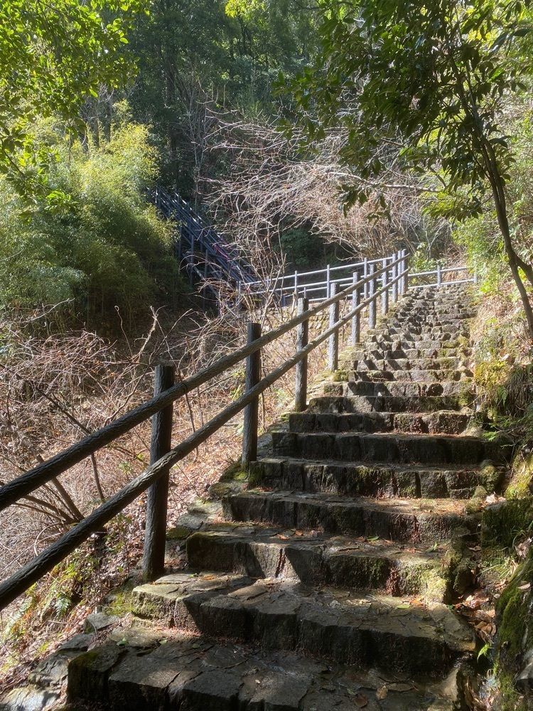 あるふぃすたさんが投稿した極楽寺山に関する口コミの画像