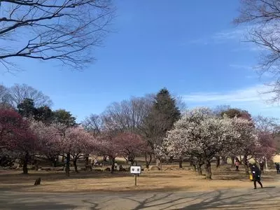 県営所沢航空記念公園