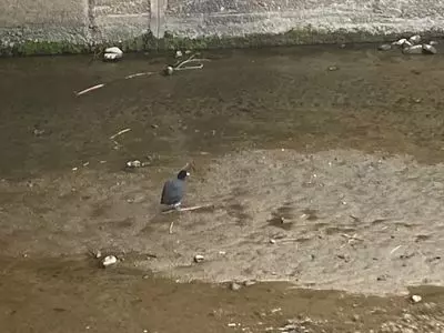 火の国 今之浦店