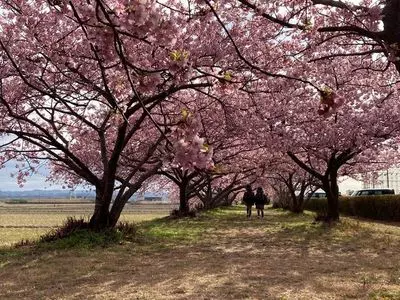 兎山公園
