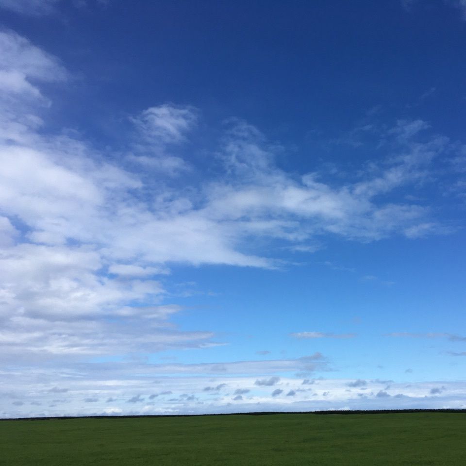 yoshiさんが投稿した猿払村に関する口コミの画像