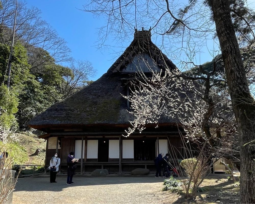 active34さんが投稿した三溪園の梅に関する口コミの画像