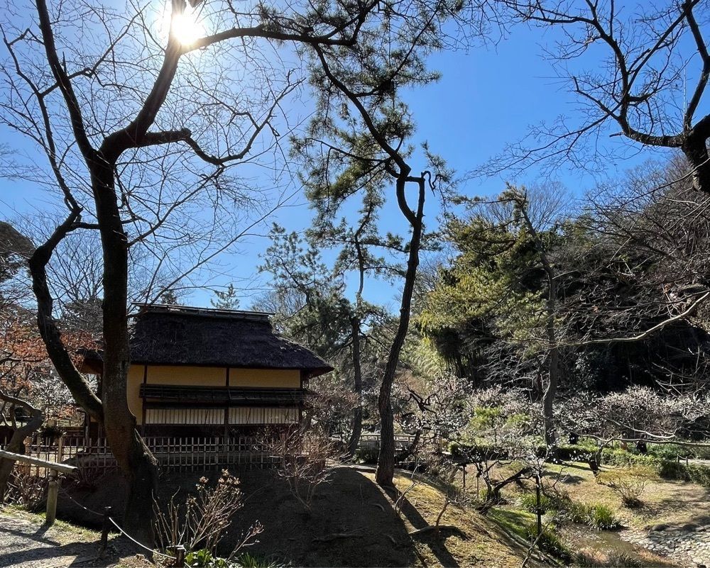 active34さんが投稿した三溪園の梅に関する口コミの画像