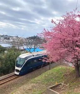 稲取温泉観光合同会社