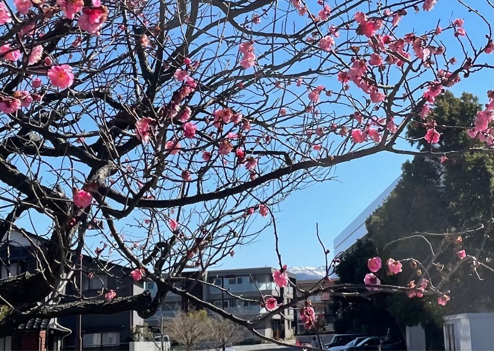 らぐ🏉🍺ビアさんが投稿したウフフドーナチュ 本店に関する口コミの画像
