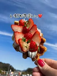 山県ばすけっと